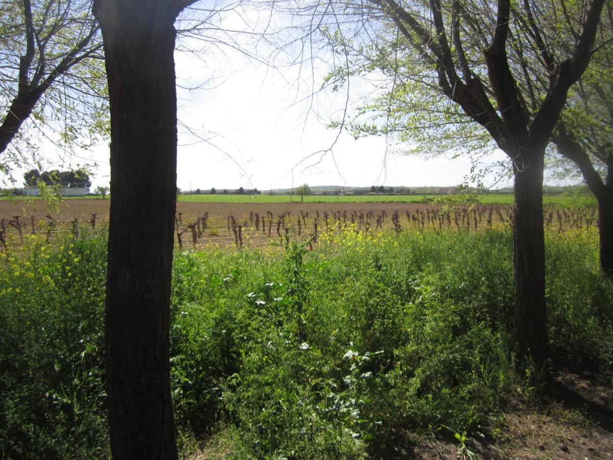 אלמגרו Casa Finca Rural La Huerta מראה חיצוני תמונה