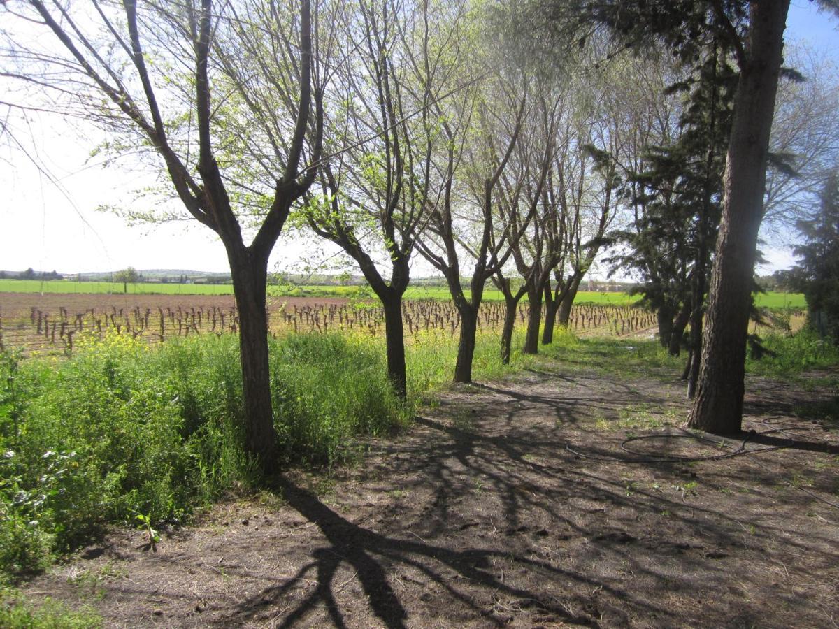 אלמגרו Casa Finca Rural La Huerta מראה חיצוני תמונה